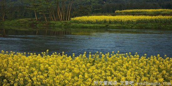 田园将芜