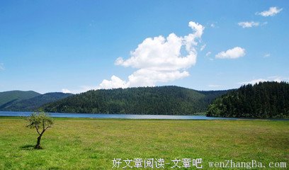 当我变成一棵树