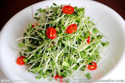正经认识了萝卜苗