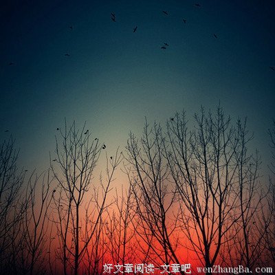 尊严的来处
