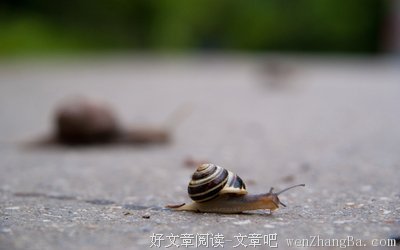  蜗牛