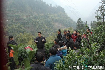 “老干部”的一往情深