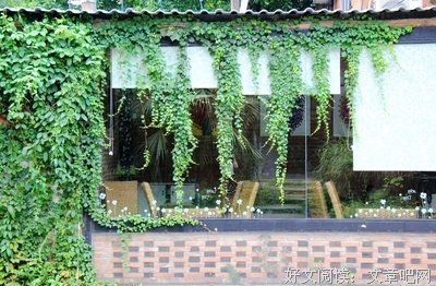 风动桂花香