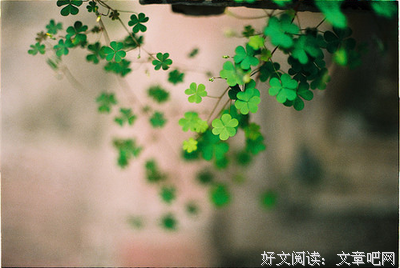 生命其实并不脆弱