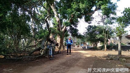  总有一段时光，要我们翻山越岭