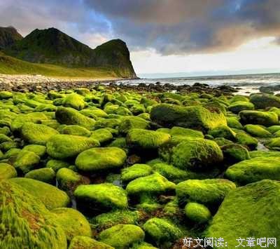 人心终究能换回人心