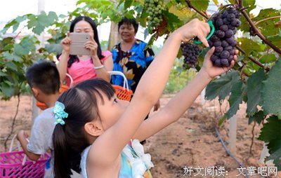 生活的收获是生活