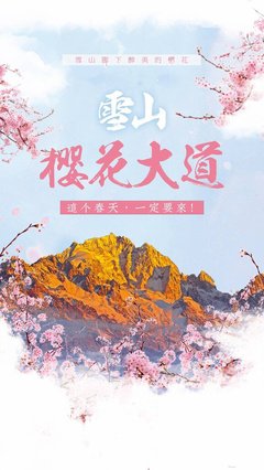 让生命飞舞如蝶