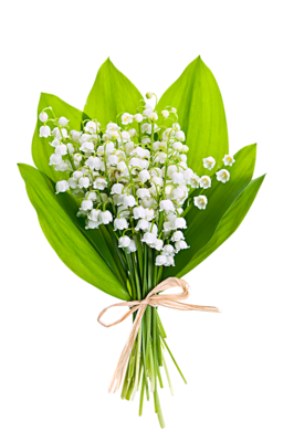 俊得花枝助