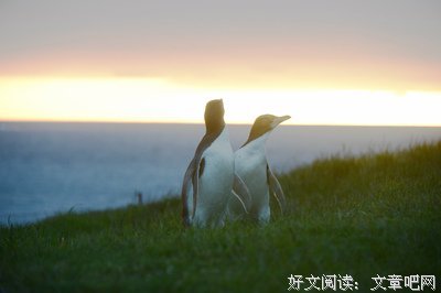 世间美好
