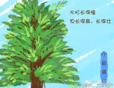 母亲的三句话