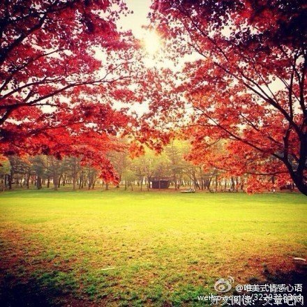 你不必一开始就闪闪发光