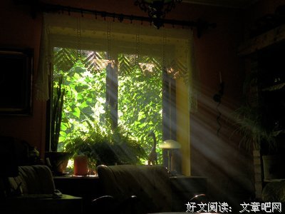 照透生命