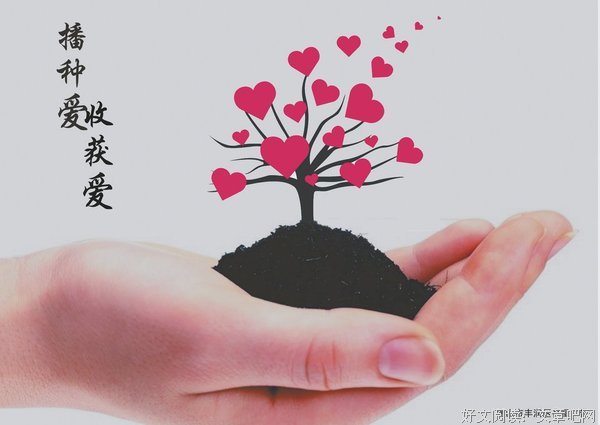 阅读的收获