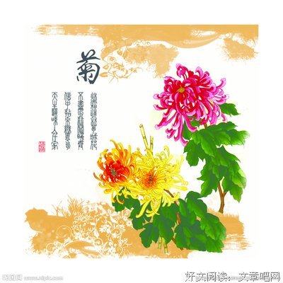  菊