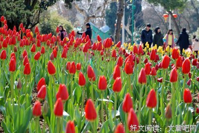 快跑之城