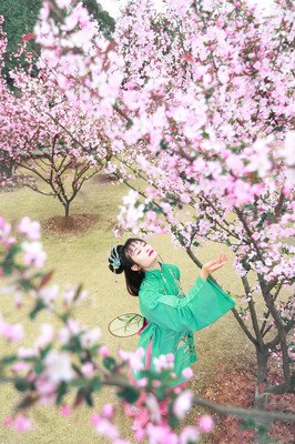 洛城花