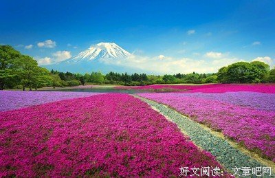 那一路，我们沉默不语
