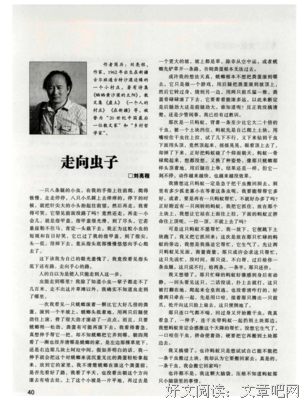 走向虫子