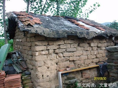 你是哪类燃型员工