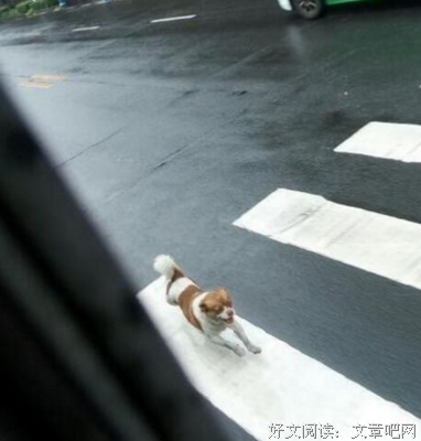 死命追逐