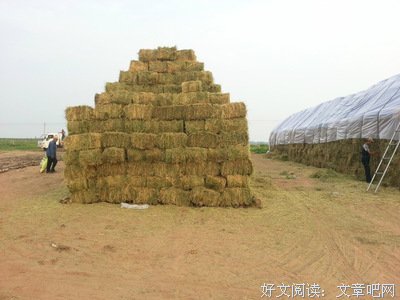 废纸不腐