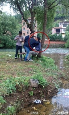 教授一跪定分数