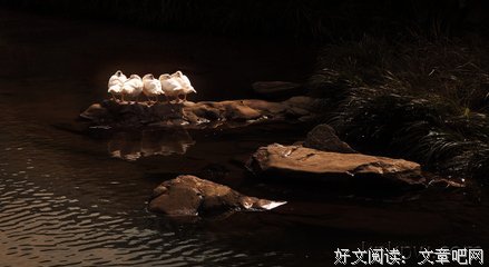  开会
