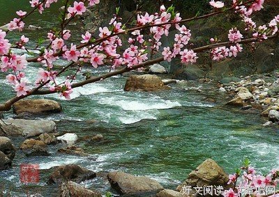要死得干干净净