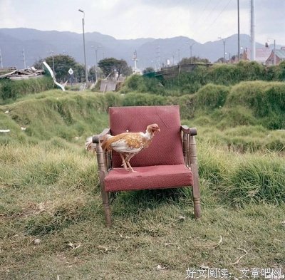 只想过狗日子
