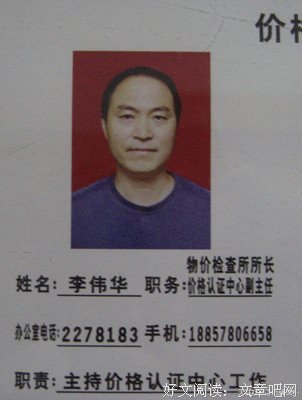 一株苦楝树