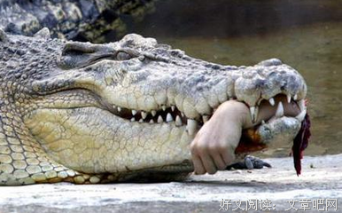 一定有人还在鱼腹里