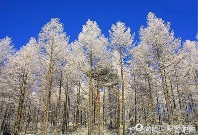 世事无尘