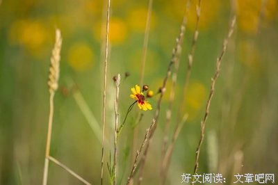  学会与生活和解言欢