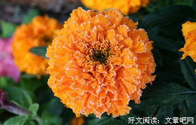 多行好事有前程