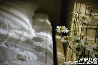 无忧惧