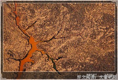 智慧语丝