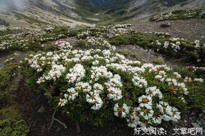 人生就是登攀百岳