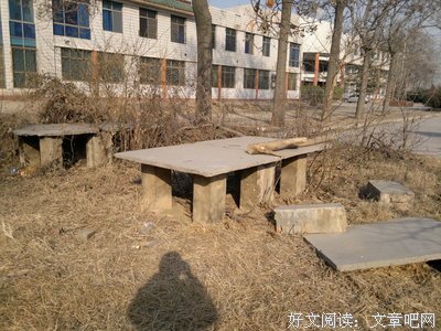 我的高中时代