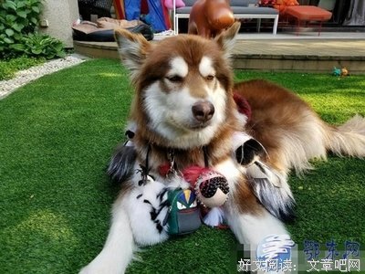 成名的套路