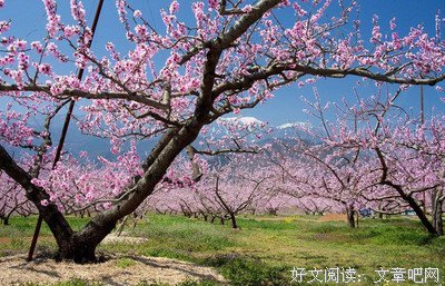 免责声明