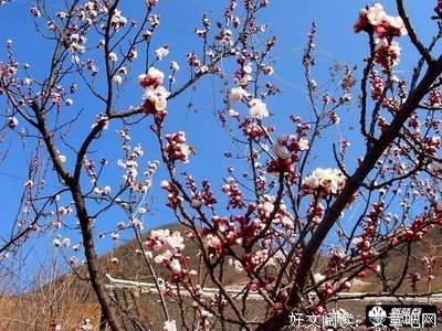 剩水残山 无态度