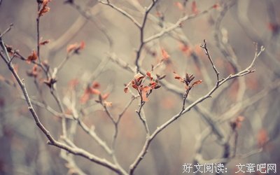 中国小孩都是“吓大”的