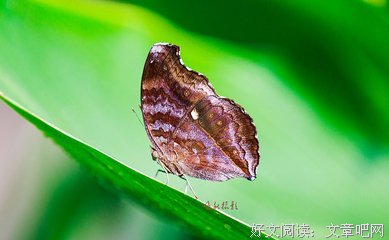 乔装打扮