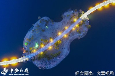 一串项链