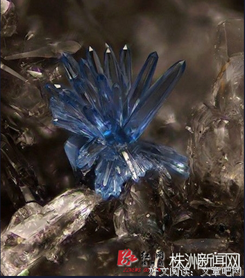 比爱更珍贵