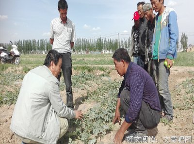 工作和学习两不误，可能吗
