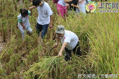 地上的小米粒儿