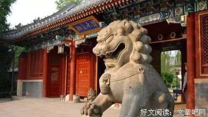 一个“差生”的奋斗史