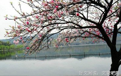 巧改对联